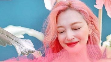 Sulli meninggal dunia