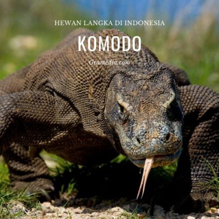 14 Hewan Langka Di Indonesia Yang Dilindungi - Best Seller Gramedia