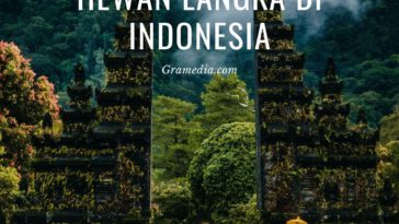 hewan langka di indonesia (15)