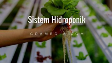 teknik hidroponik sistem hidroponik