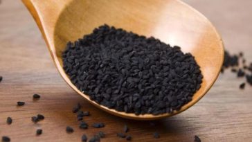 manfaat habbatussauda