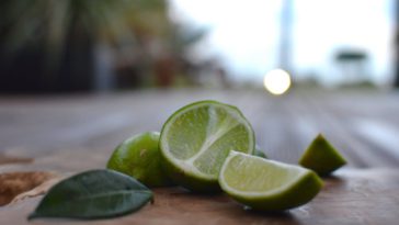 20 Manfaat Jeruk Nipis Bagi Tubuh