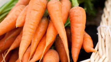 manfaat wortel bagi kesehatan