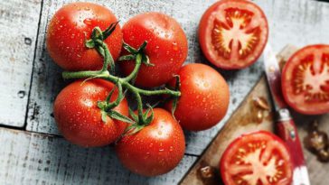 manfaat buah tomat
