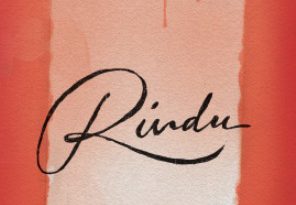 resensi buku rindu tere liye