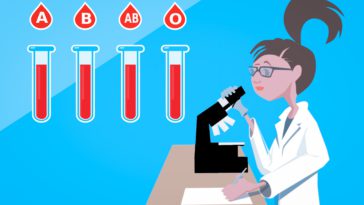 fakta golongan darah o