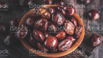 Cara Meghilangkan Bau Jengkol