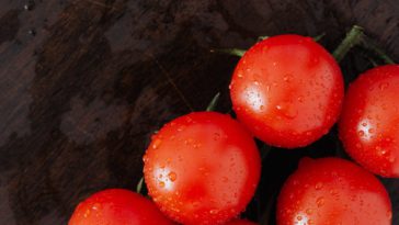 Kandungan Gizi Tomat