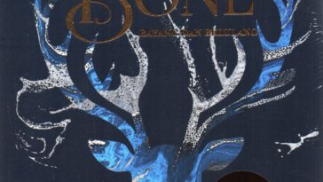 novel shadow and bone