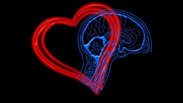 Kecerdasan Spiritual