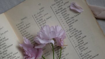 Rekomendasi Buku Kamus Bahasa Arab