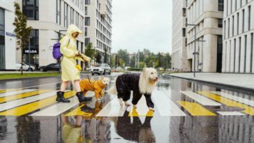 merk jas hujan terbaik