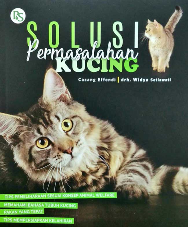 Merawat Kucing Worry-Free: Solusi Cerdas Atasi Masalah Umum