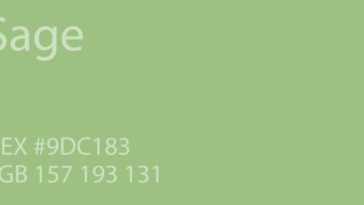 Warna Hijau Sage Green