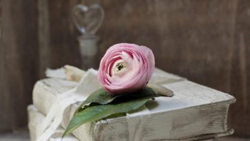 Rekomendasi Novel Romance