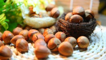 Manfaat Minyak Kemiri