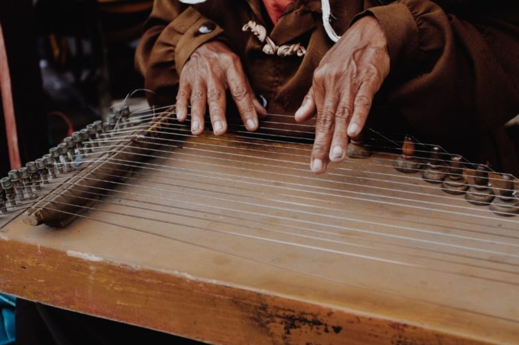 8 Contoh Alat Musik Petik Beserta Sejarah dan Cara Memainkannya