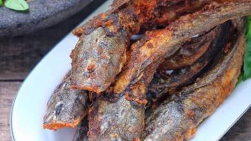 Kandungan Gizi Ikan Lele