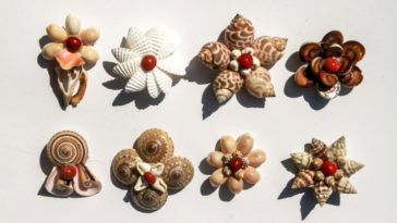 kerajinan dari kerang