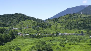 tempat wisata di puncak