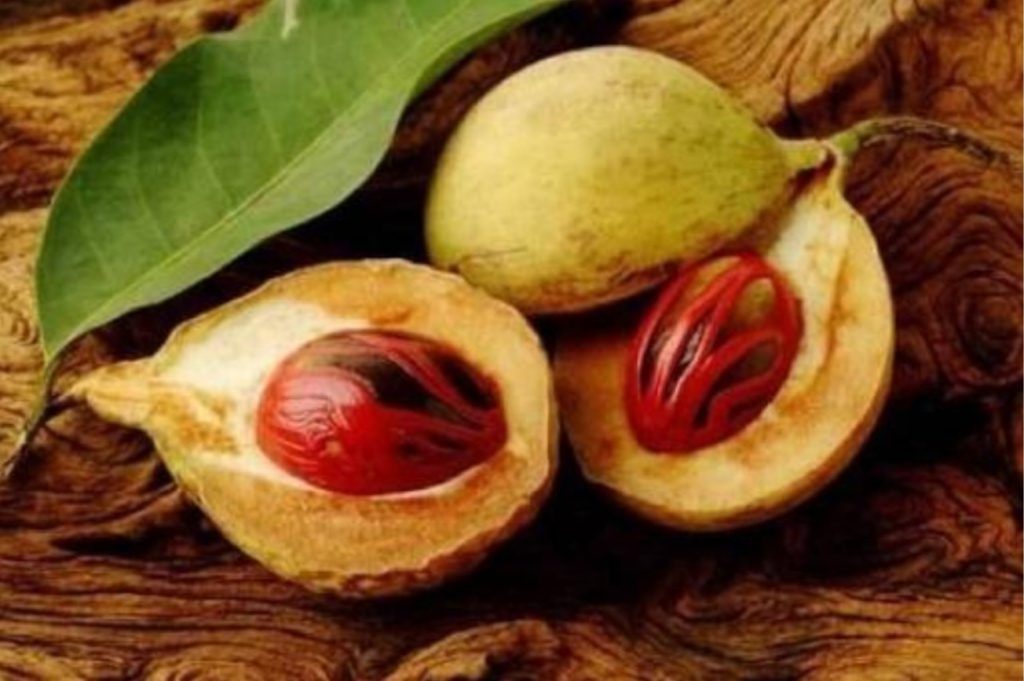 10 Rempah-Rempah Indonesia dan Manfaatnya Bagi Kesehatan