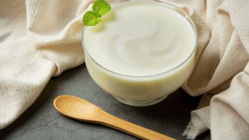 proses pembuatan yogurt