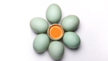 Cara Membuat Telur Asin