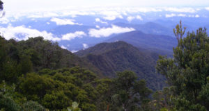 nama gunung di Kalimantan