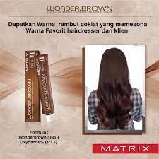 Rekomendasi Cat Rambut yang Bagus