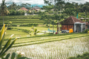 mimpi pindah rumah