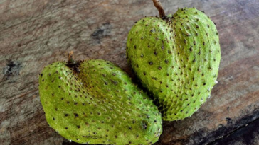 Manfaat Buah Sirsak 1