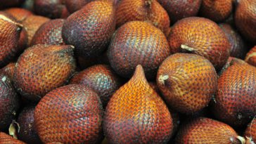 Manfaat Salak untuk Ibu Hamil