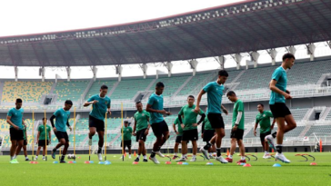 pemain timnas indonesia