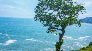 Kata-Kata Bijak Singkat Penuh Makna